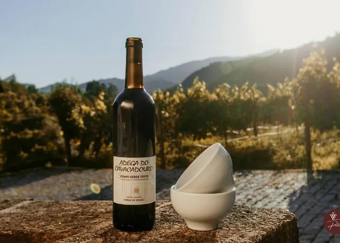 펜션 Casa Da Garrafeira - Quinta Da Portela *