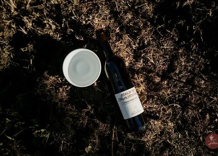 Casa Da Garrafeira - Quinta Da Portela 펜션 *